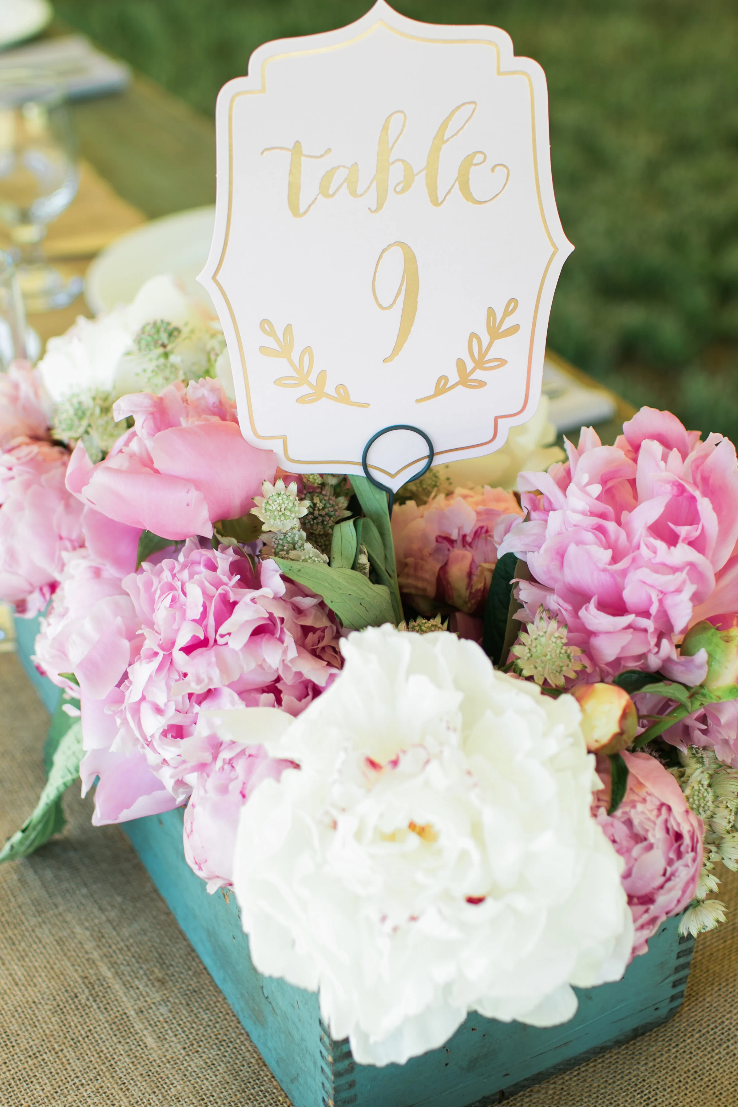 John+Shira(8of1047).jpg