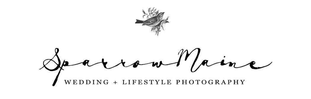 Sparrow Maine Photography