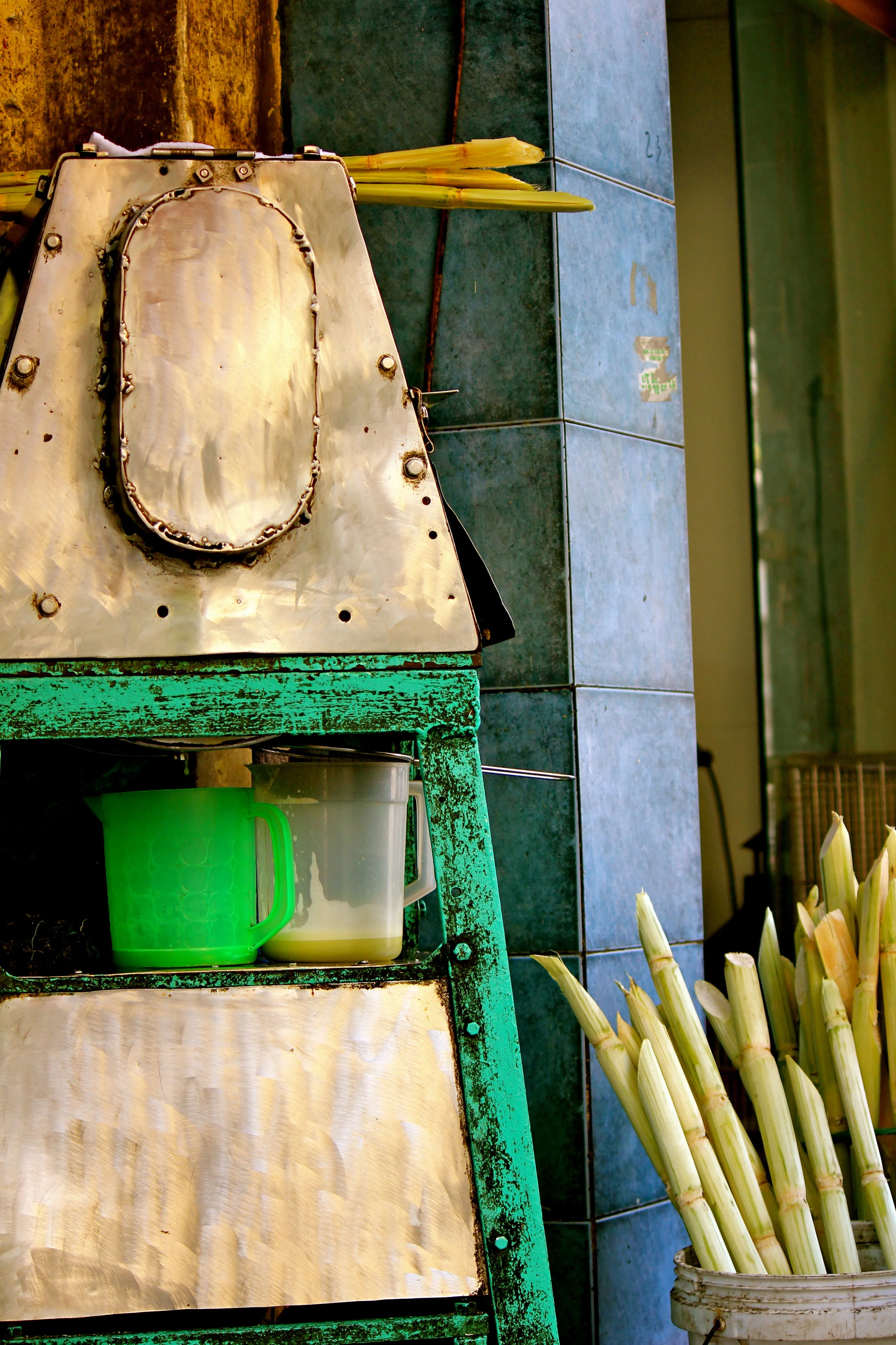 sugar cane