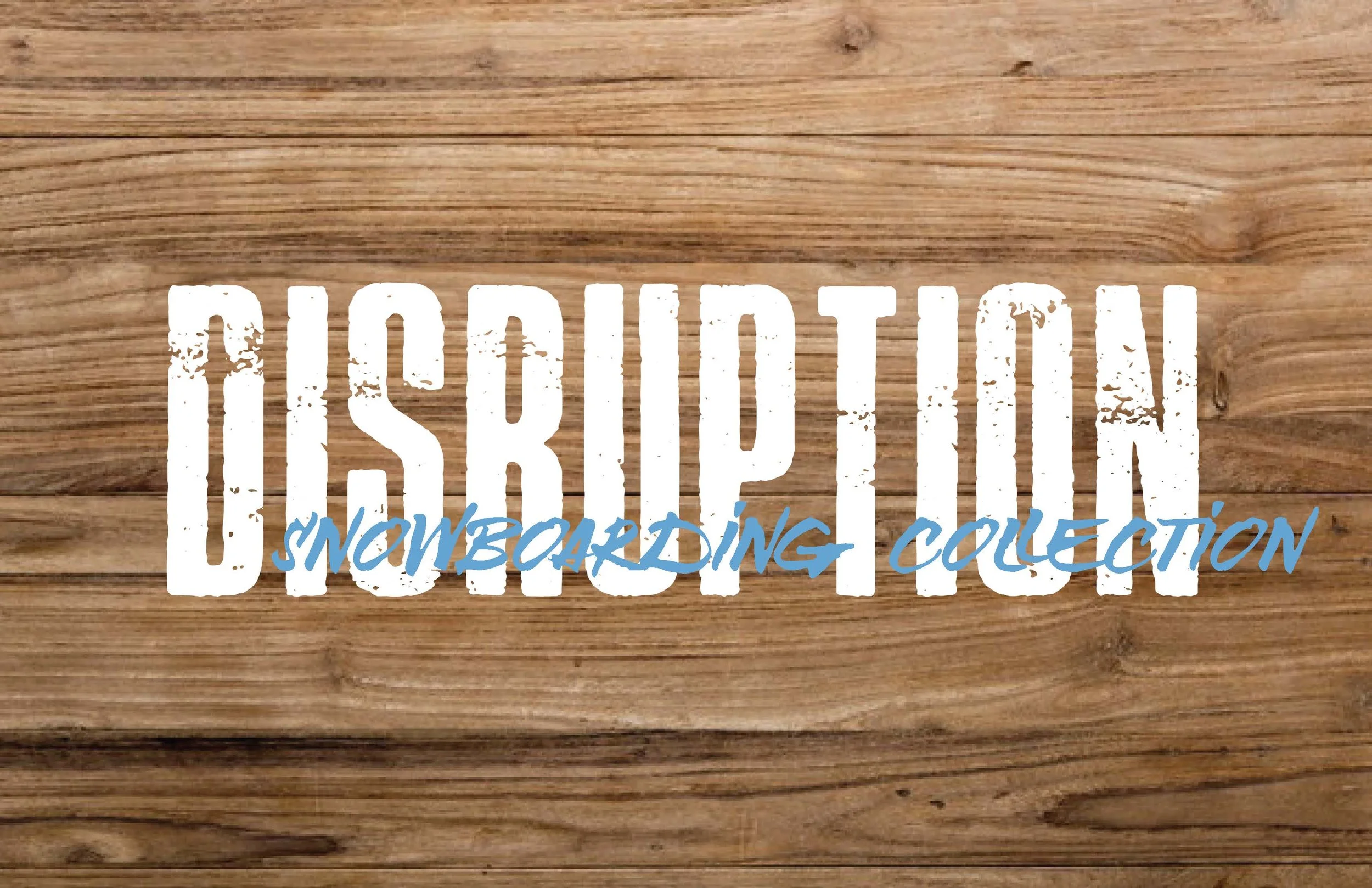 disruption pages_Page_02.jpg