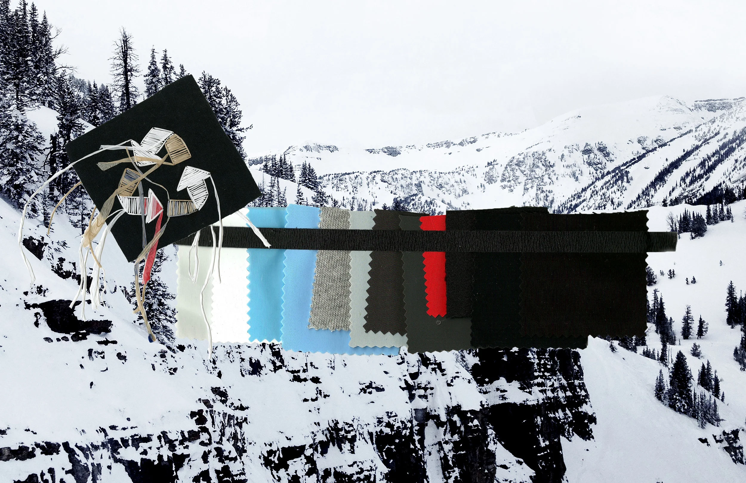 fabric color 11_17.jpg