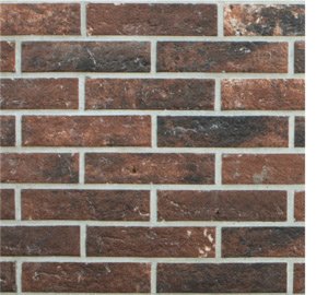 Brick Bristol Umber 2.5x10