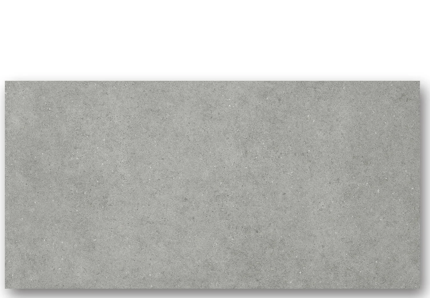 Clayborn_Cement_24x48