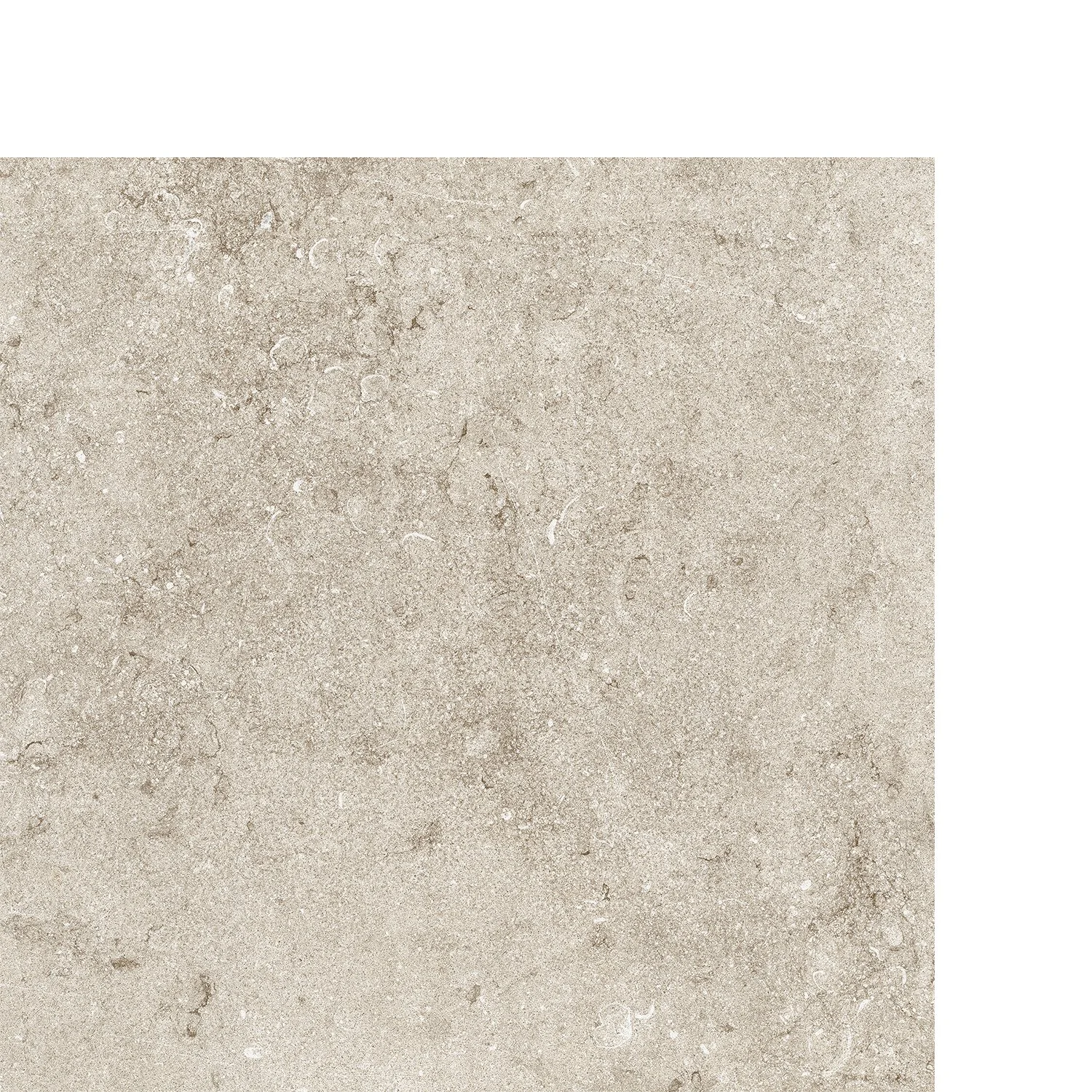 Nuova_Beige-24x24