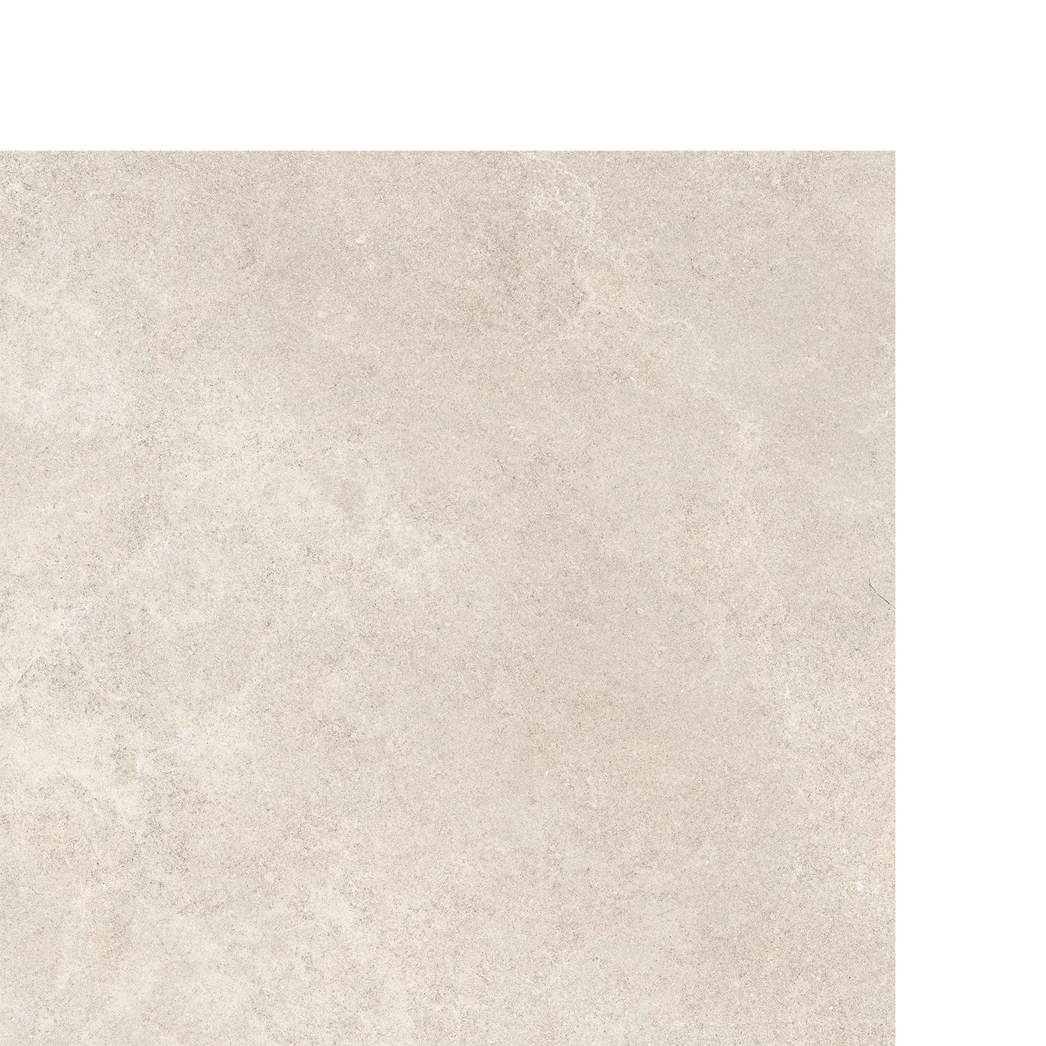 Calcarea_Beige-24x24