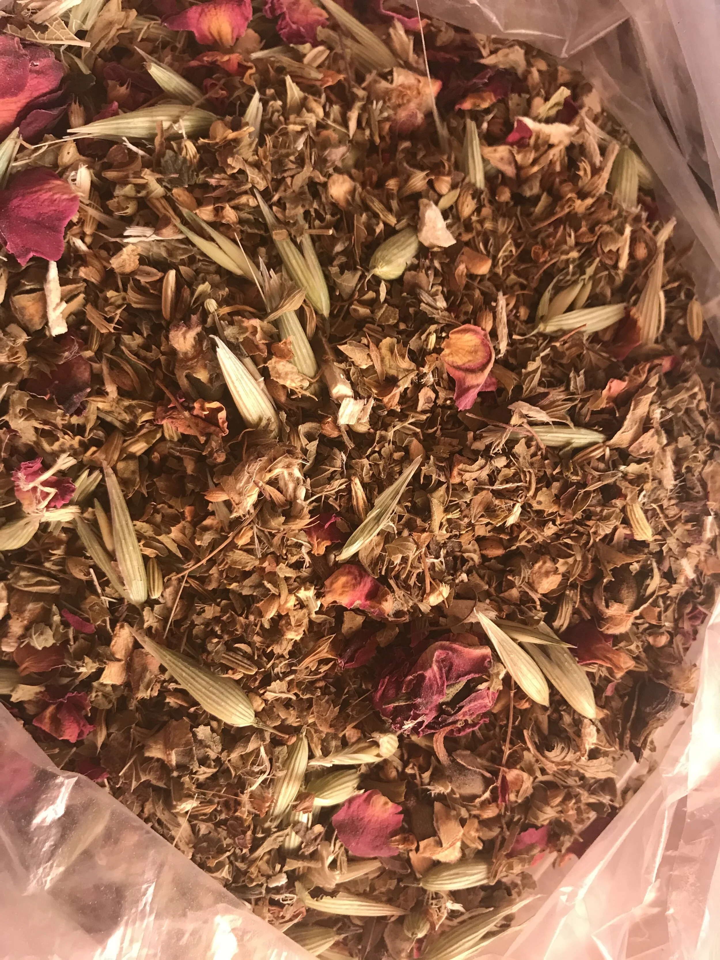nervesootherherbs.pdf.jpg