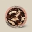 chocococonutchai.jpeg