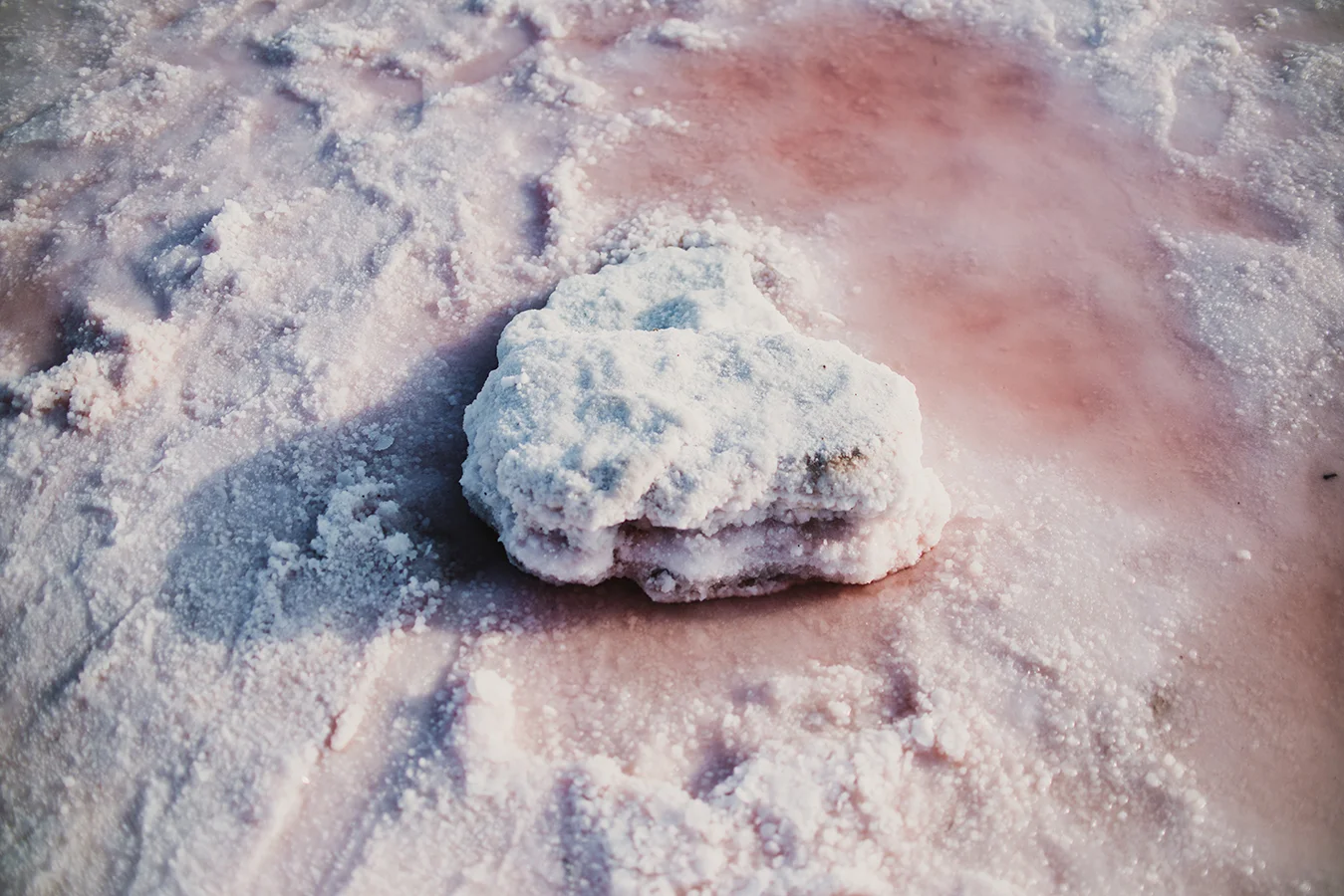 Visual Diary for the Memories (C) Pati Gagarin 004.jpg