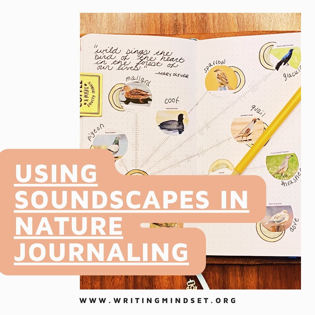 Nature journaling isn&rsquo;t just about what you see&mdash;it&rsquo;s also about what you hear.

On the blog, I explore how tuning into sound can deepen our connection with the outdoors. From birdsong to city buzz, soundscapes can transform the way 