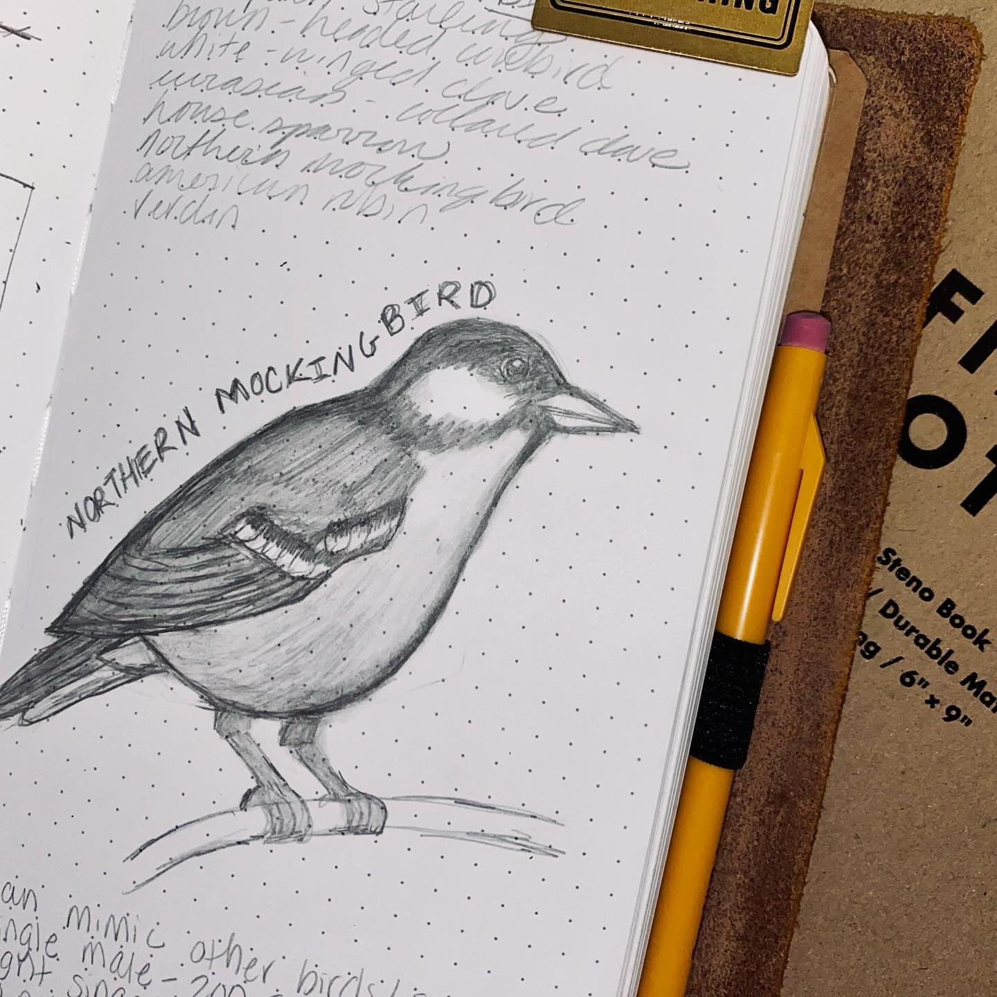 Mockingbird Muse by S.H.

Mockingbird echo&mdash;
a patchwork prayer of song stitched
from the morning light.

Birdwatching and journaling adventure with our 4-year-old explorer! We used the @merlin.bird.id app and spotted 8 feathered friends at the 