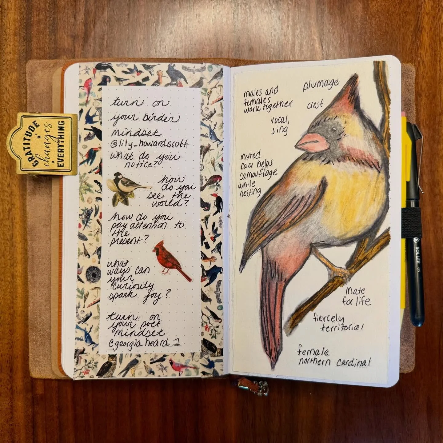 Getting a chance to reflect on #ncte25 now that all of our Thanksgiving food is starting to digest. Swipe to see my notes. I like to review with color, pictures, and memories. 

My top 10 favorite moments:

1.  Presenting on outdoor literacy and writ