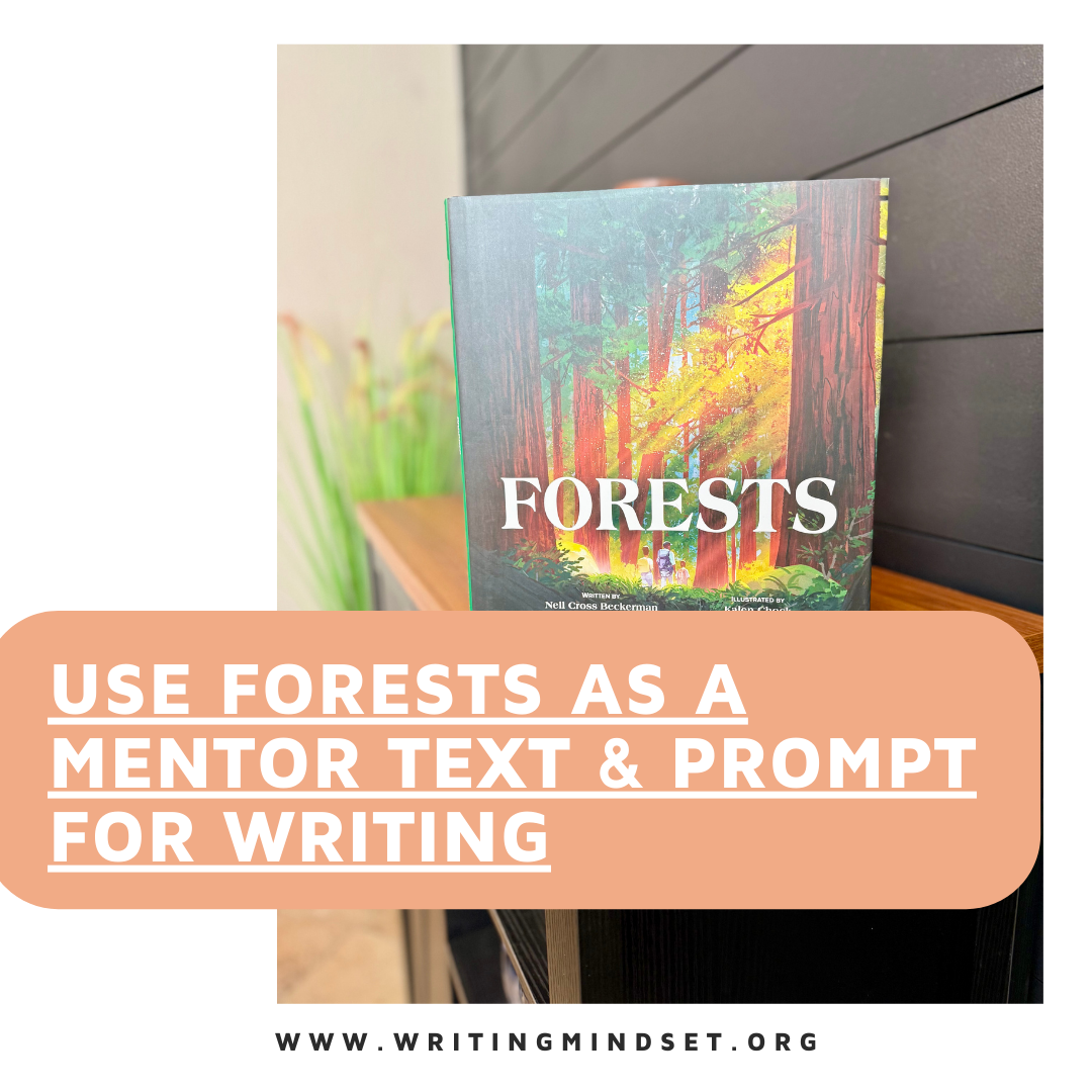 Forests: Journaling Through Interconnection, Perspective, and Place