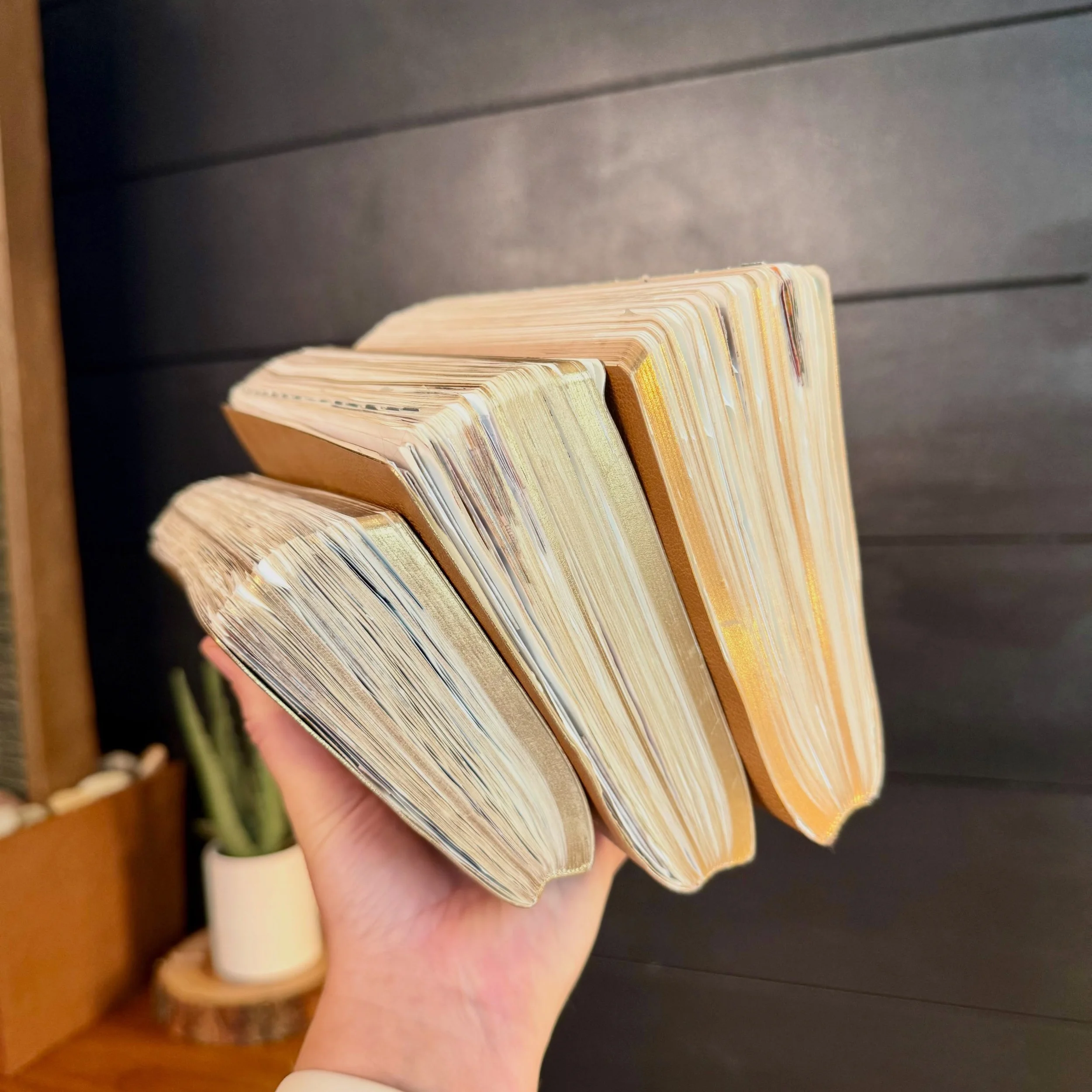 Hands-down, my most used planner or journaling item has to be the @sterlingink common planner. I just moved into my fourth one. It has the perfect balance of having planning pages and room to write in the back. I don&rsquo;t think that I could do jou