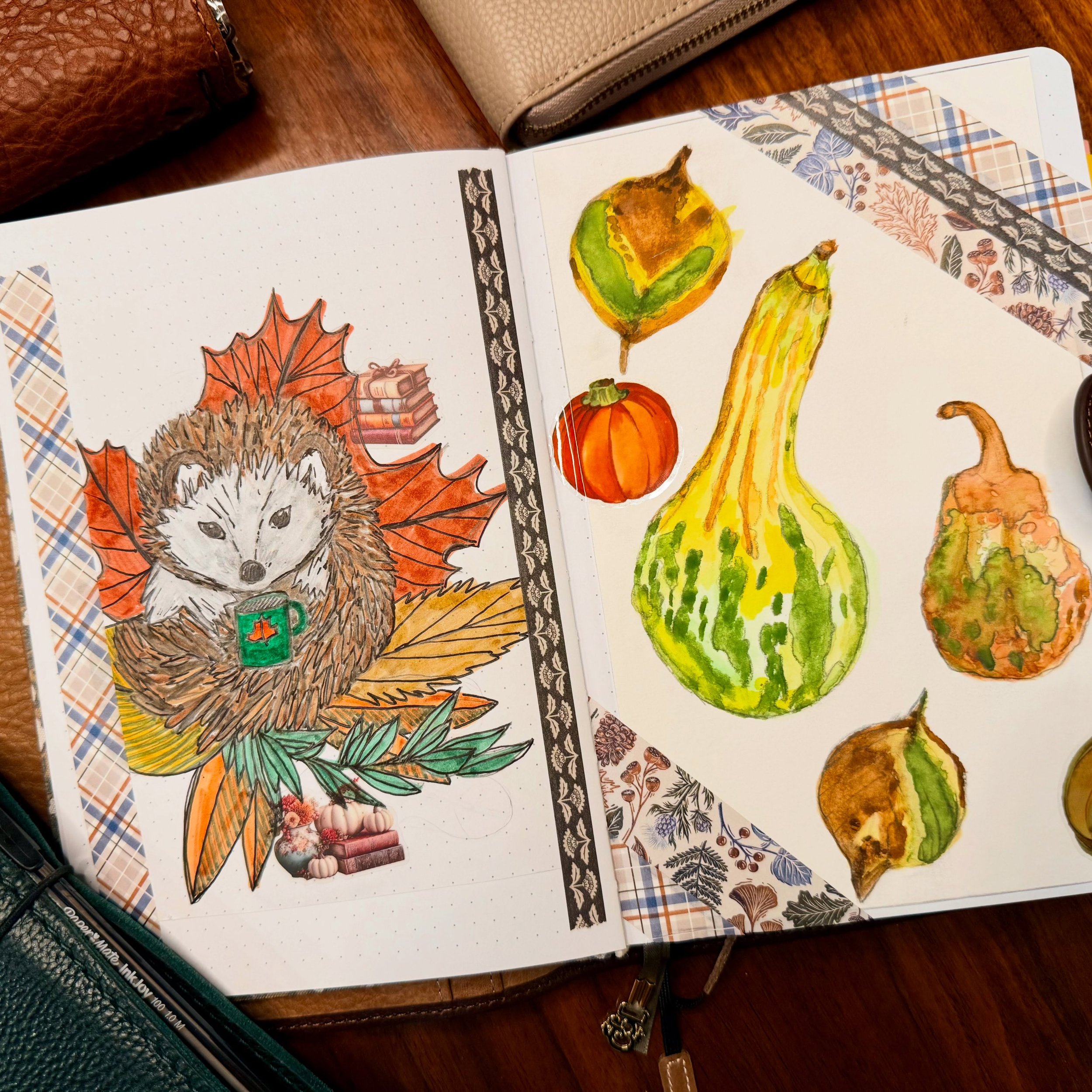 Some fall doodles and some gourds from @emilylexstudio watercolor notebooks. 

#writingmindset #fall #hedgehog #autumn