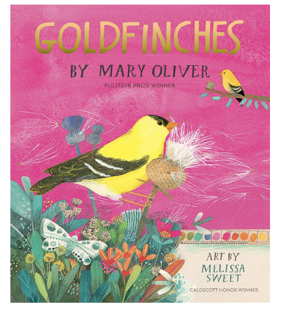 Screenshot 2026-04-20 at 7.46.47 PM.png