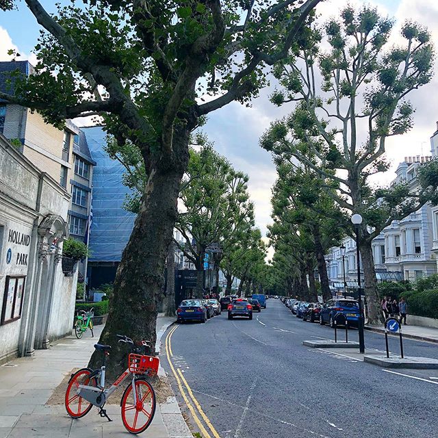 #hollandpark #wowfactorldn #london #westlondon #designmuseum #centralline #circleline #timeoutlondon #visitlondon #mysecretlondon