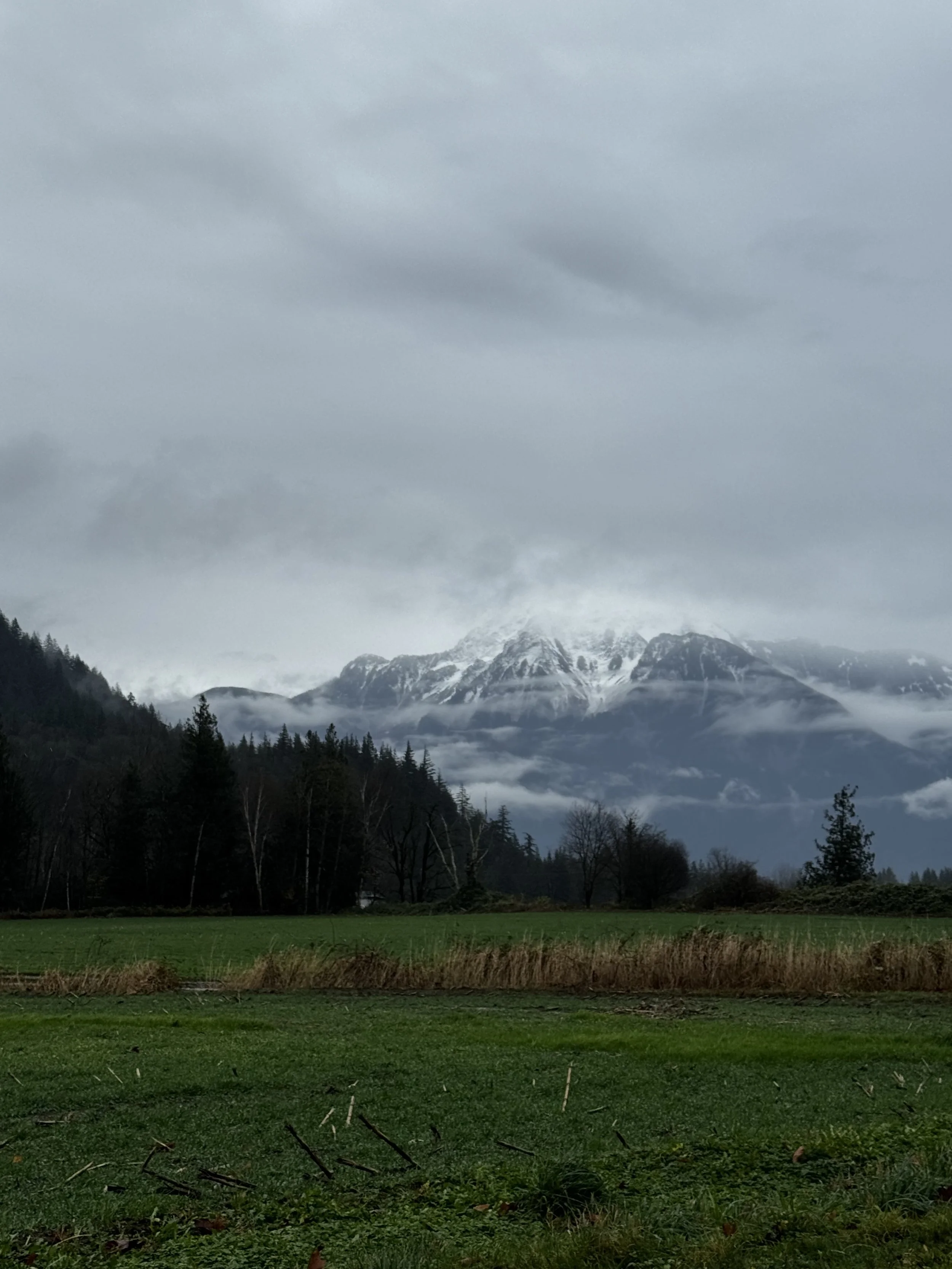 The Stunted Imagination of Control: Reflections on Working in the Prison System