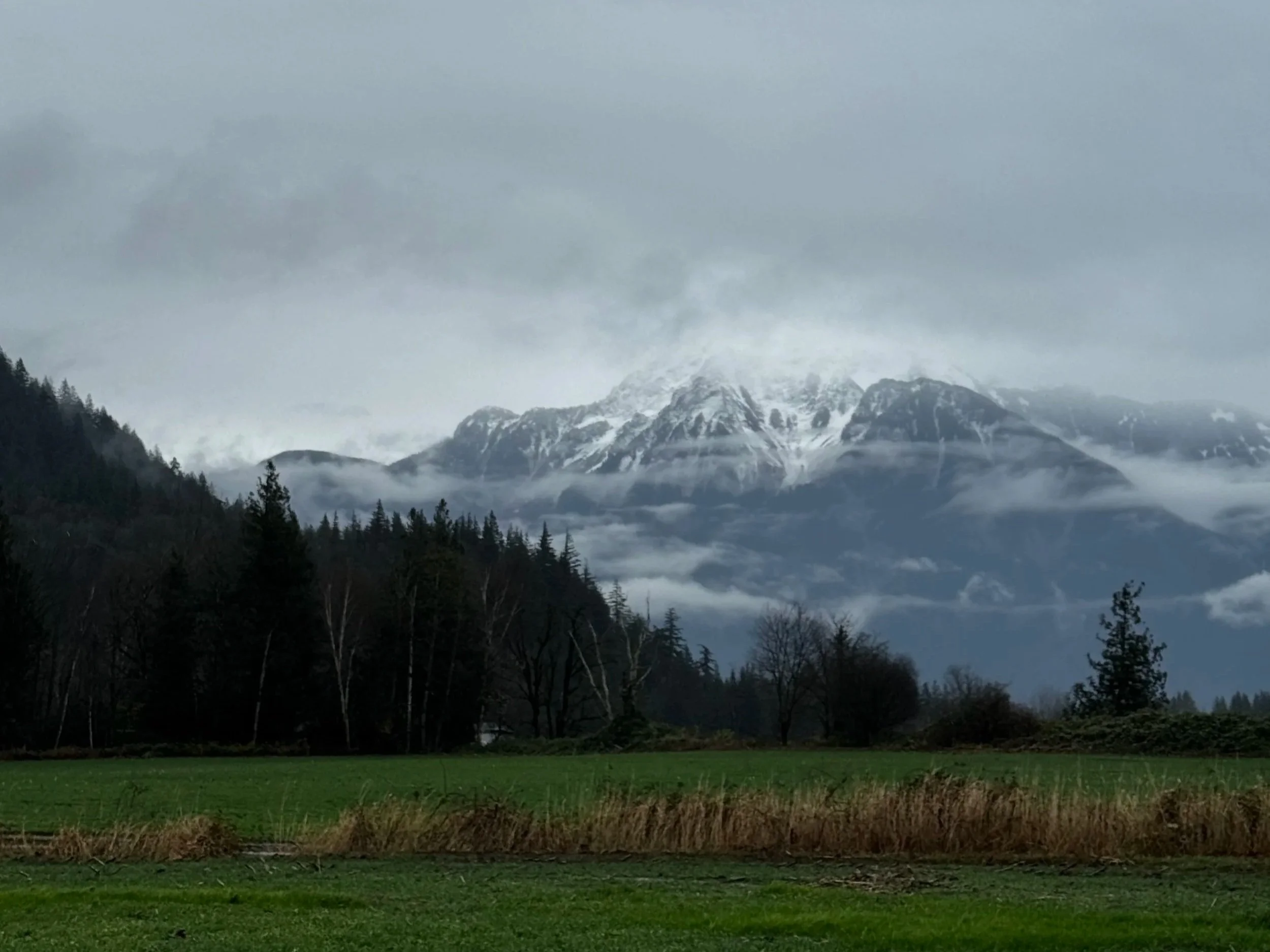 The Stunted Imagination of Control: Reflections on Working in the Prison System