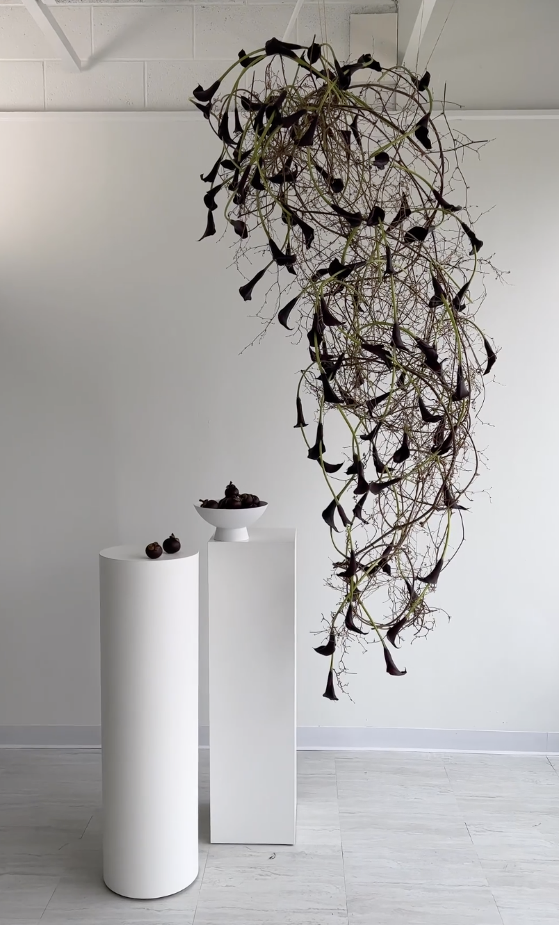 Screen Shot 2023-01-26 at 2.02.36 PM.png