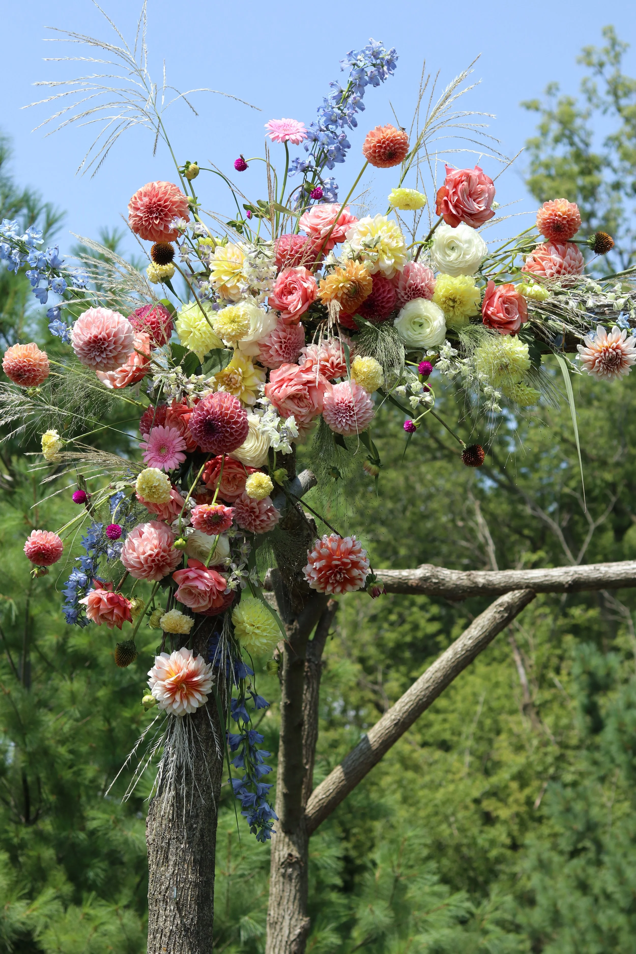 Altar Installation for Kelsey & Wade; August 2024
