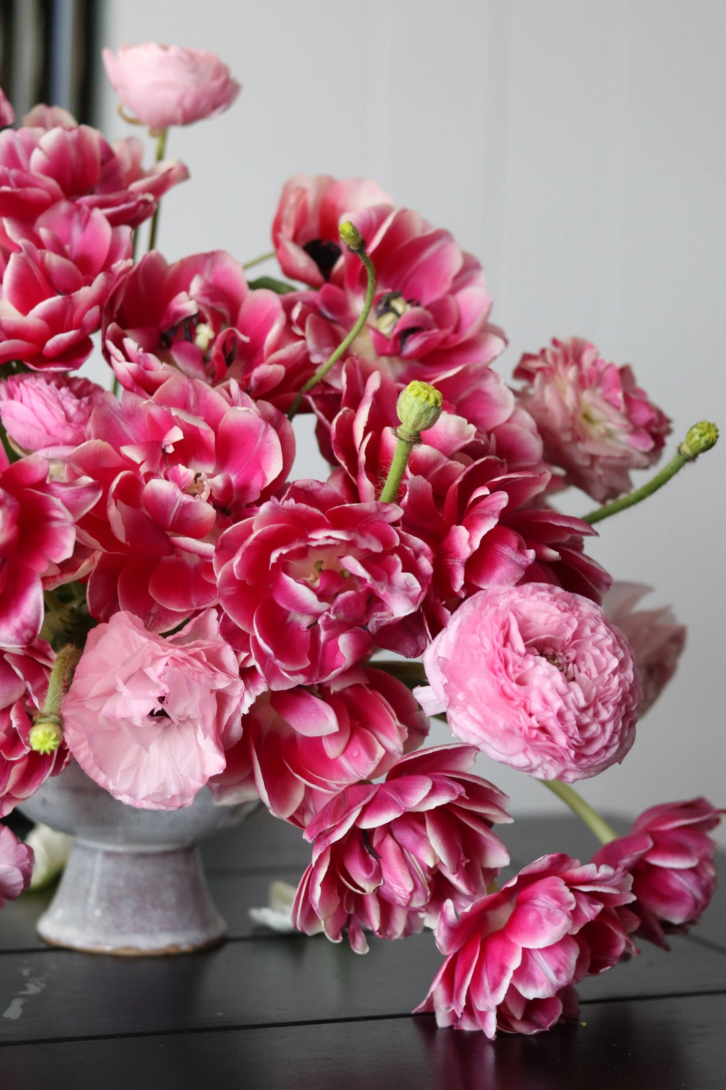 Pink Profusion; 2023