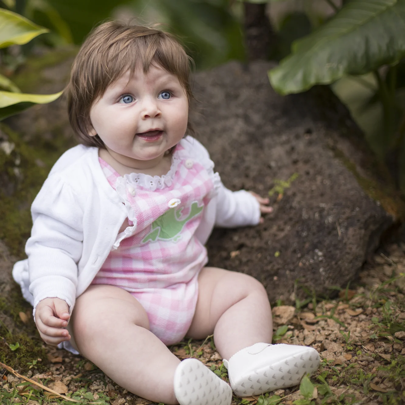 Spring Mini Sessions 2017