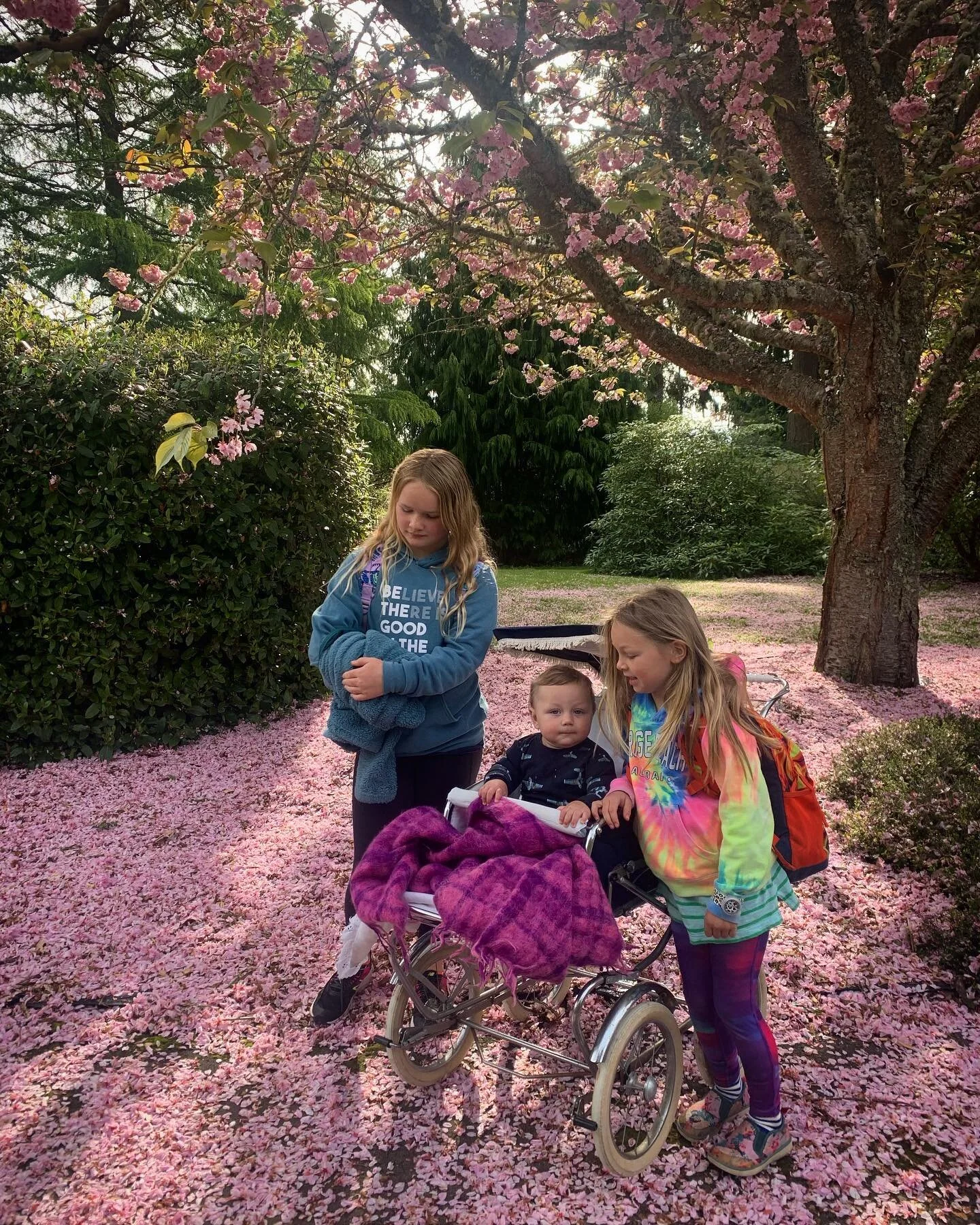 The tree, the kiddos 💕💕💕