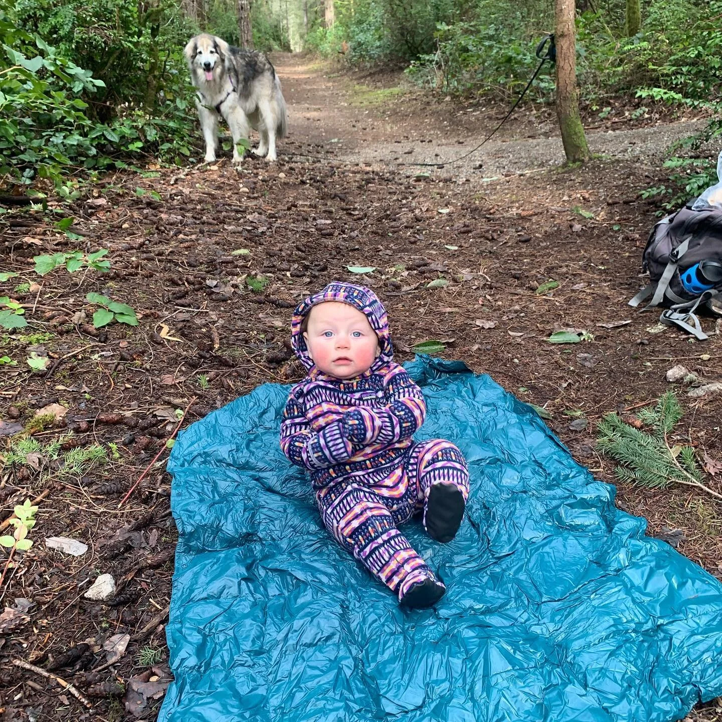 Winter walk with my pack