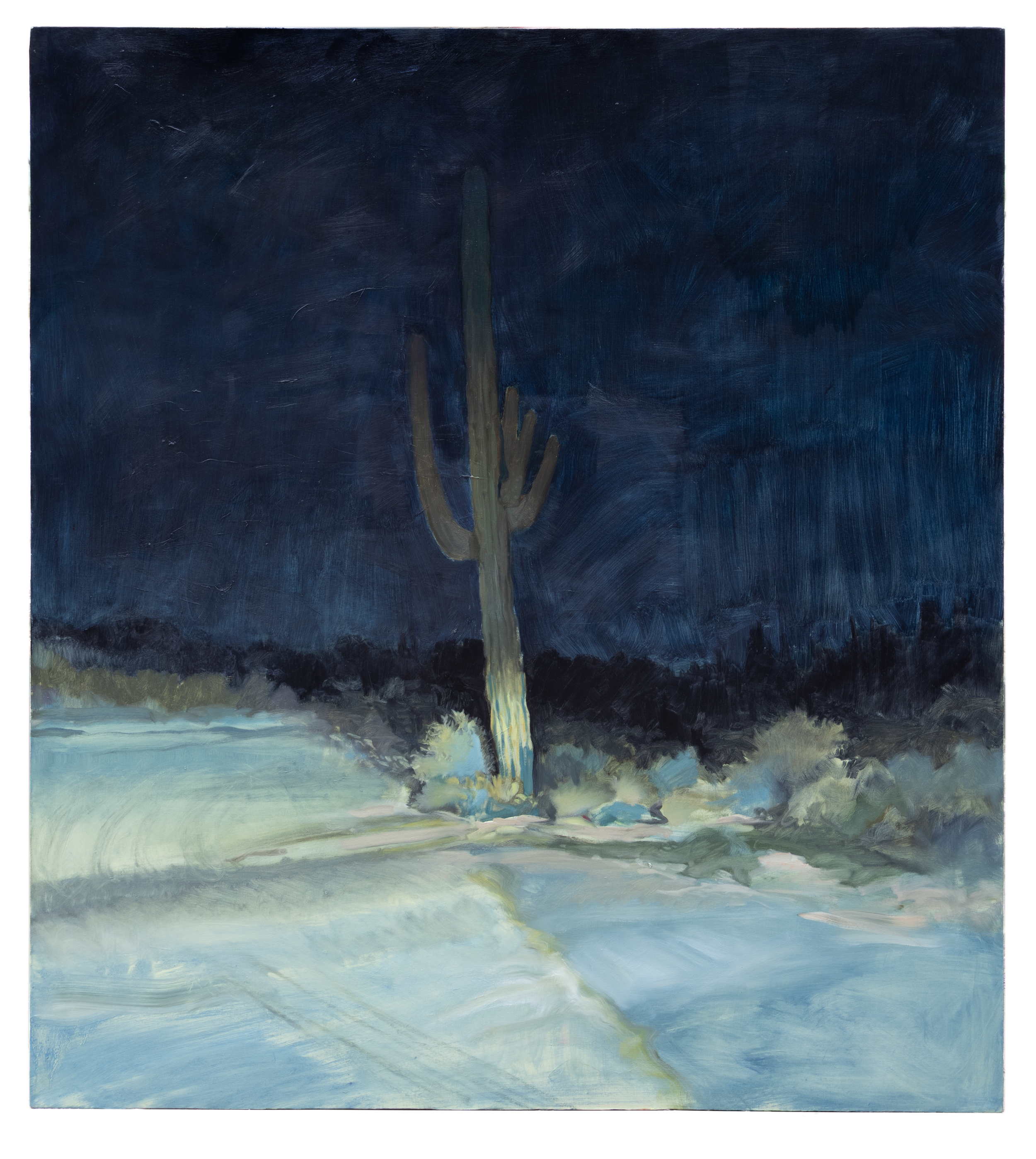NIght Saguaro.png
