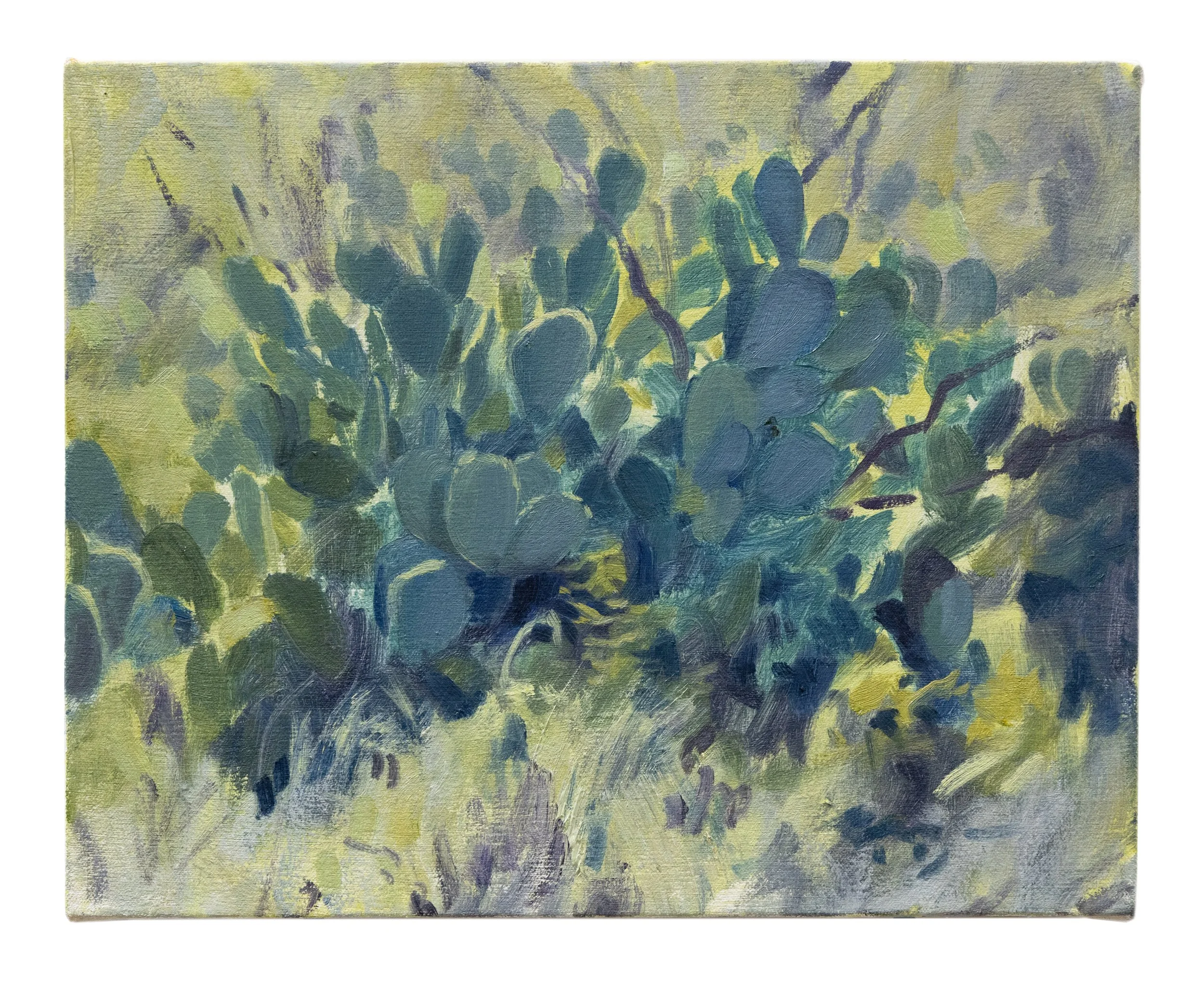 Prickly Pear.jpg