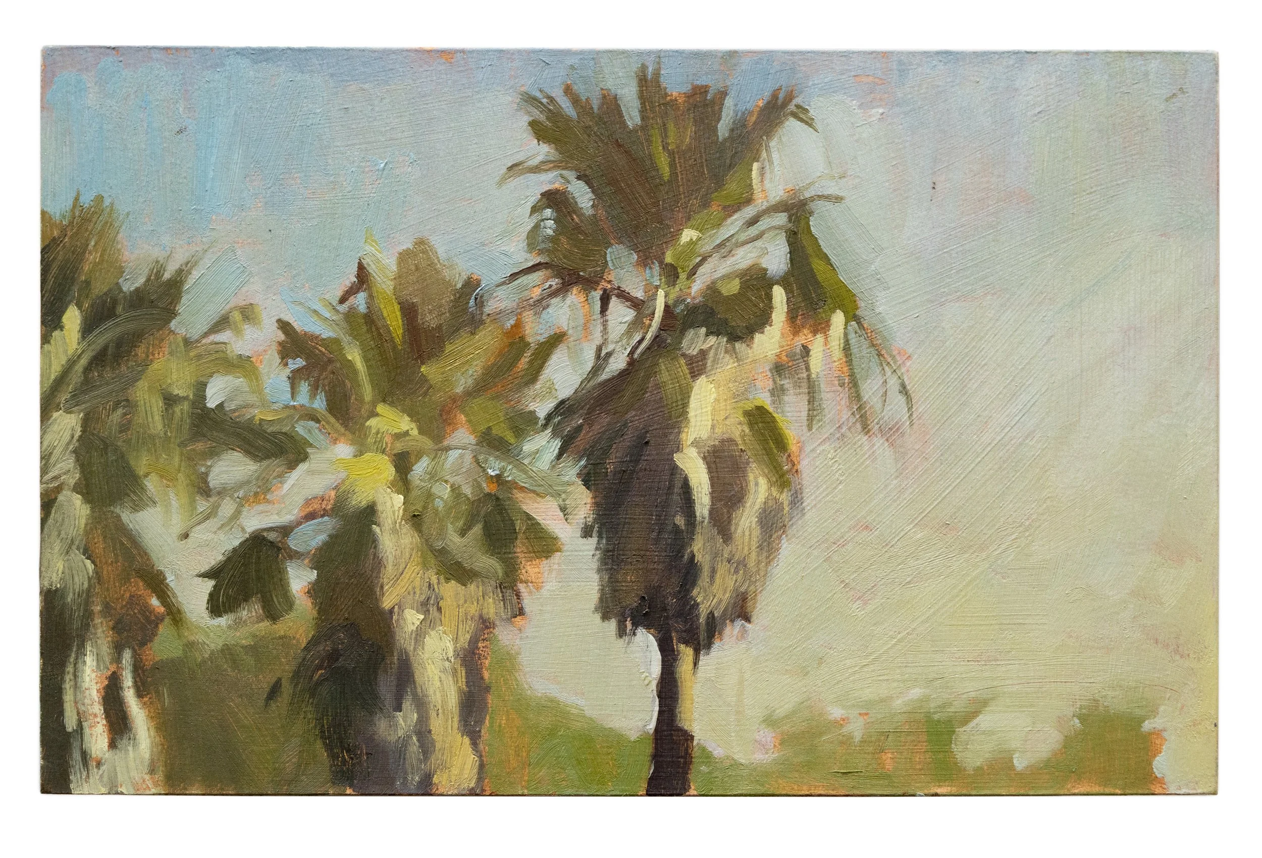 Savannah Palms.jpg