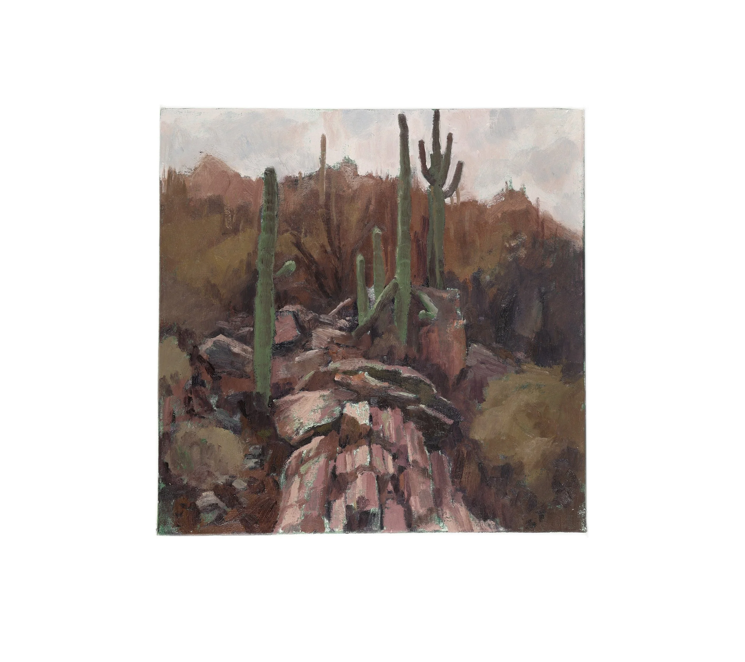 Sabino Canyon, Arizona