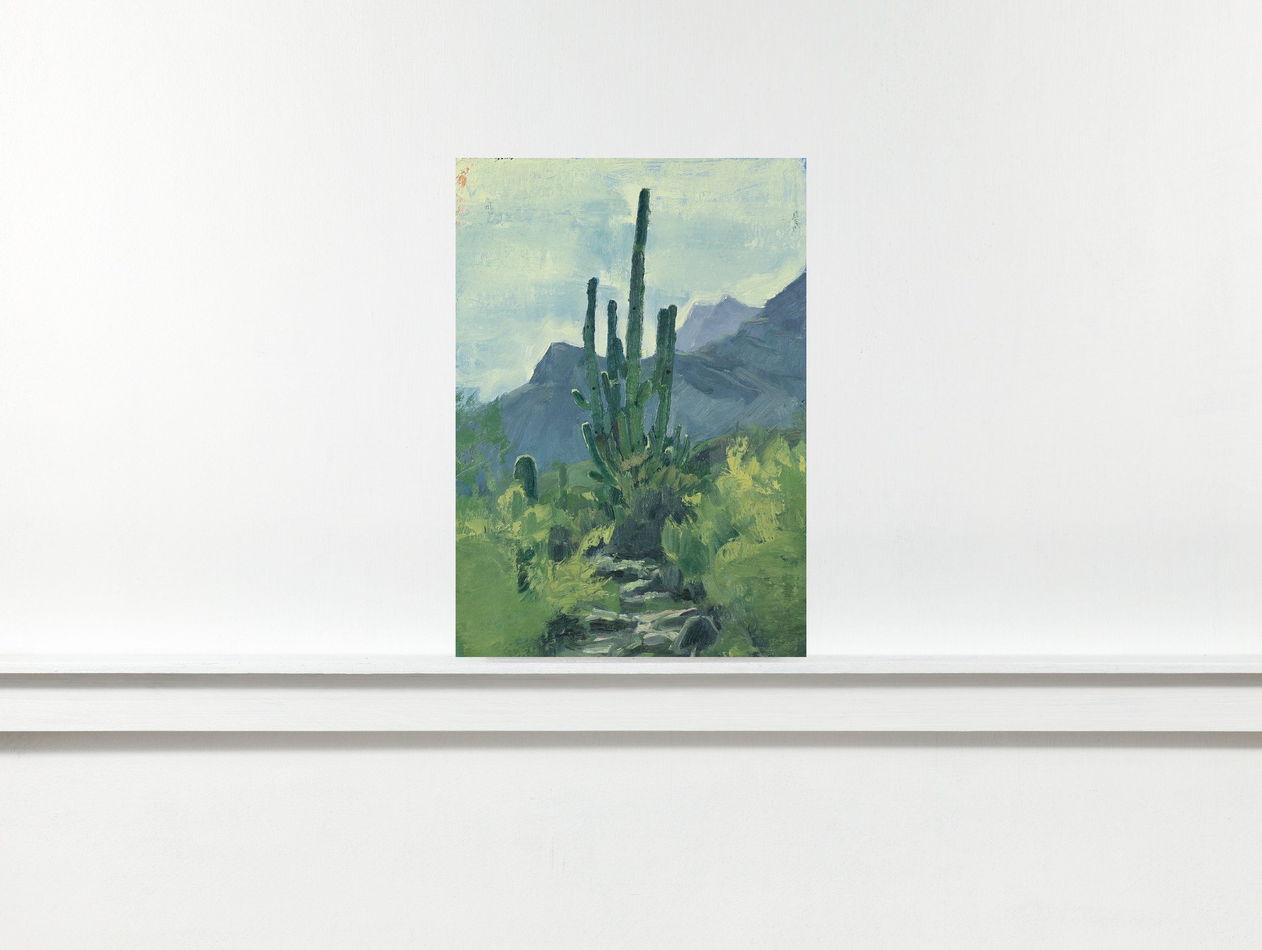 Pusch Ridge Saguaro, Arizona