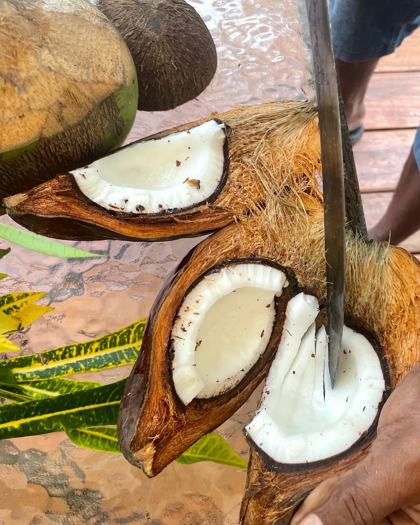 Get a Machete. 

#coconut #igotamachete #fiji #savusavu #villagelife #freshcoconut #knifeskills