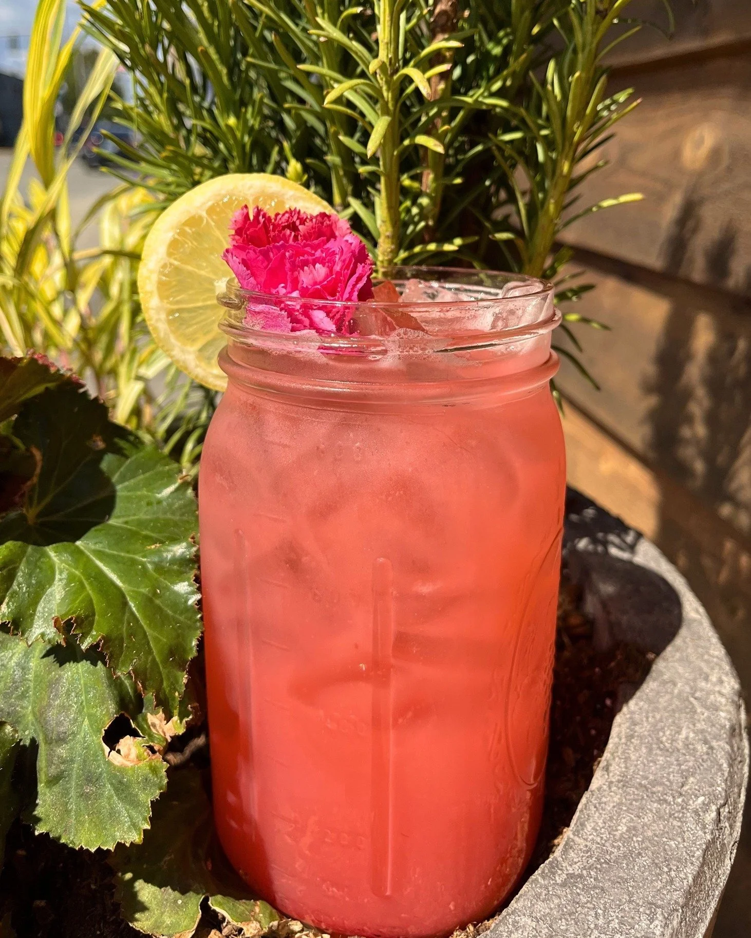 𝗛𝗲𝗹𝗹𝗹𝗹𝗹𝗹𝗹𝗼 𝗝𝘂𝗻𝗲 𝗱𝗿𝗶𝗻𝗸 𝘀𝗽𝗲𝗰𝗶𝗮𝗹𝘀! 😎

𝗥𝗮𝘀𝗽𝗯𝗲𝗿𝗿𝘆 𝗖𝗼𝗹𝗮𝗱𝗮 𝗦𝗽𝗿𝗶𝘁𝘇𝗲𝗿 &mdash; Raspberry pur&eacute;e, pina colada mix, pineapple juice, and champagne finished with a Raspberry white claw, $10.75.

𝗕𝗹𝘂𝗲𝗯?