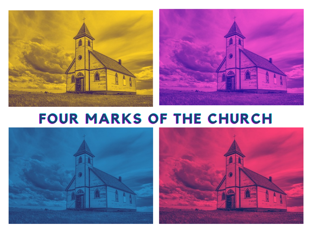 Sunday February 13, 2022   