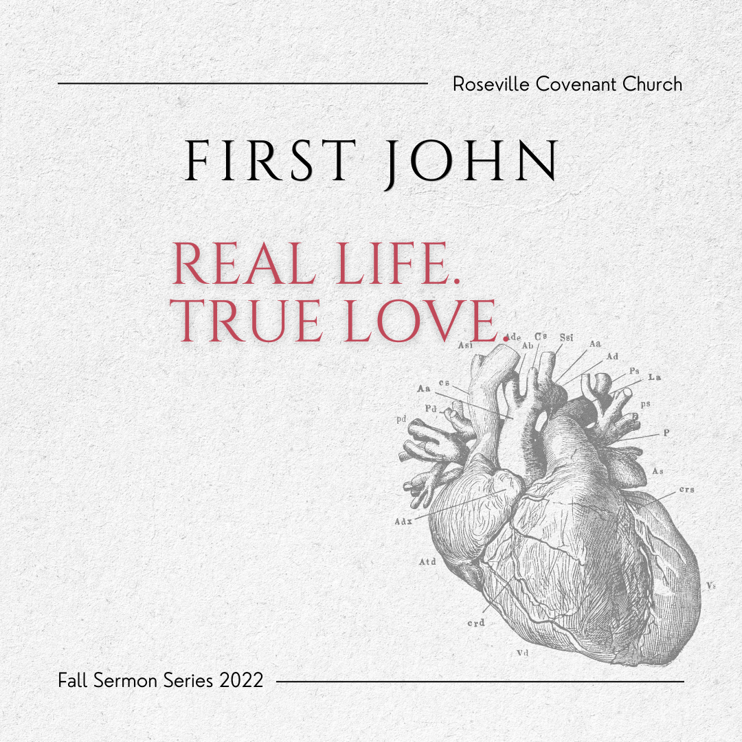 Sunday October 30, 2022    