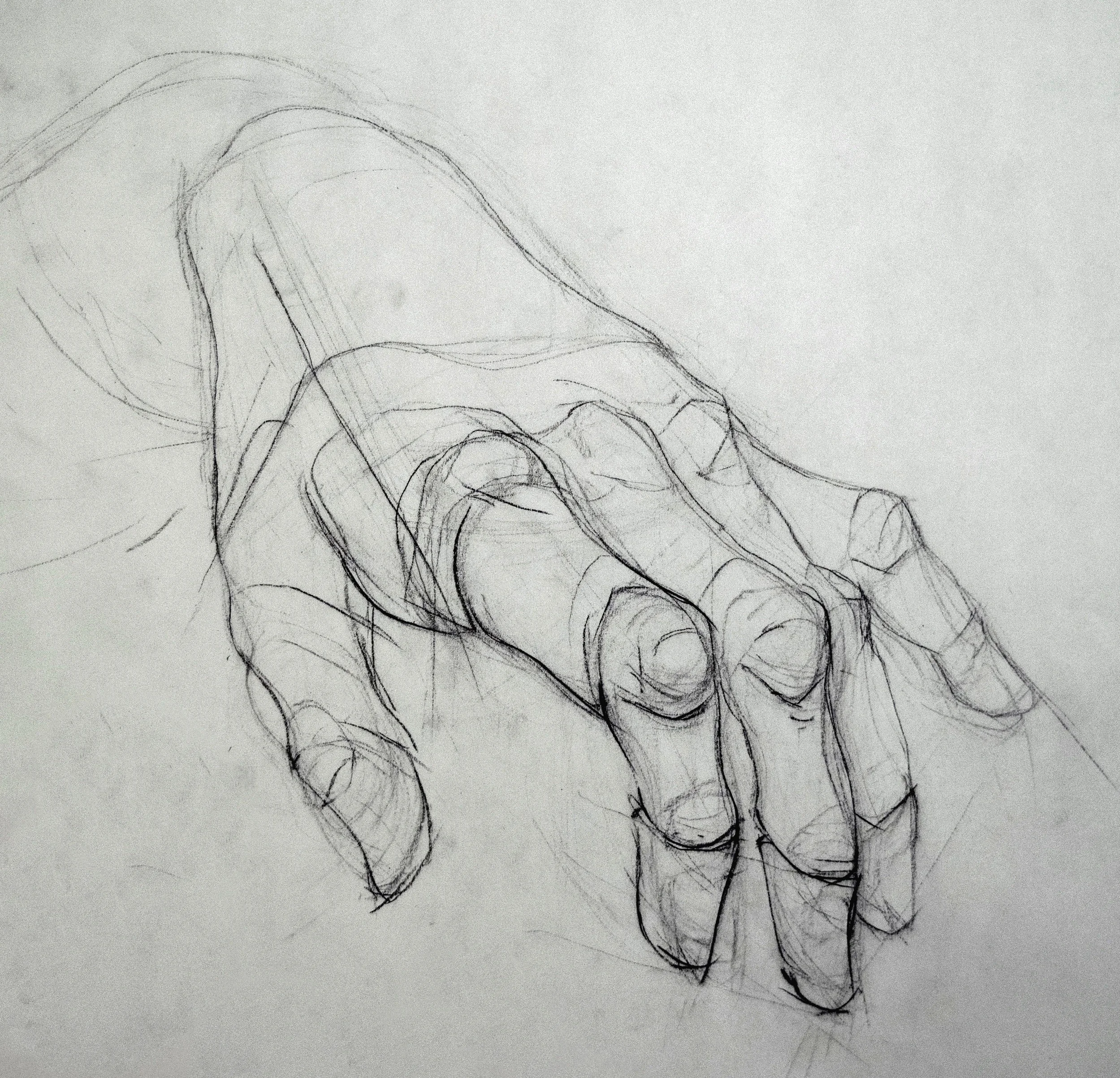 hand.jpg