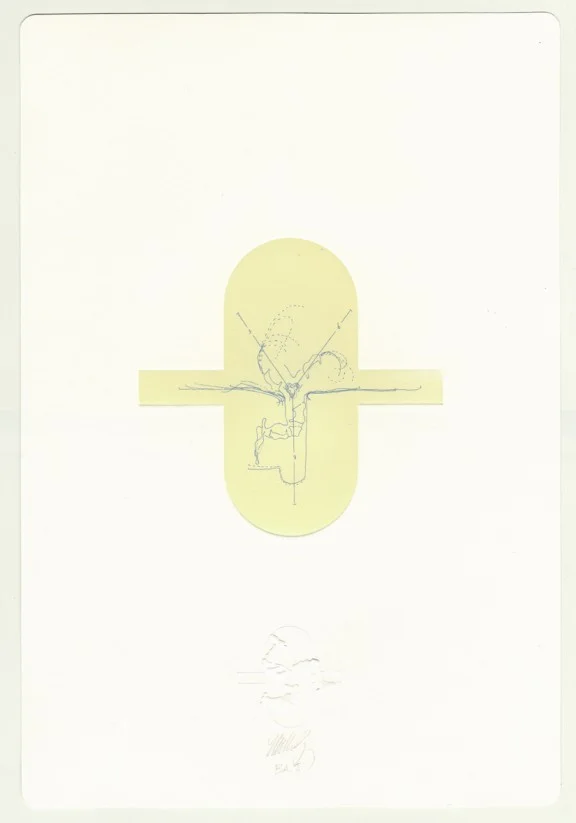Cremaster: Field Suite, 2000