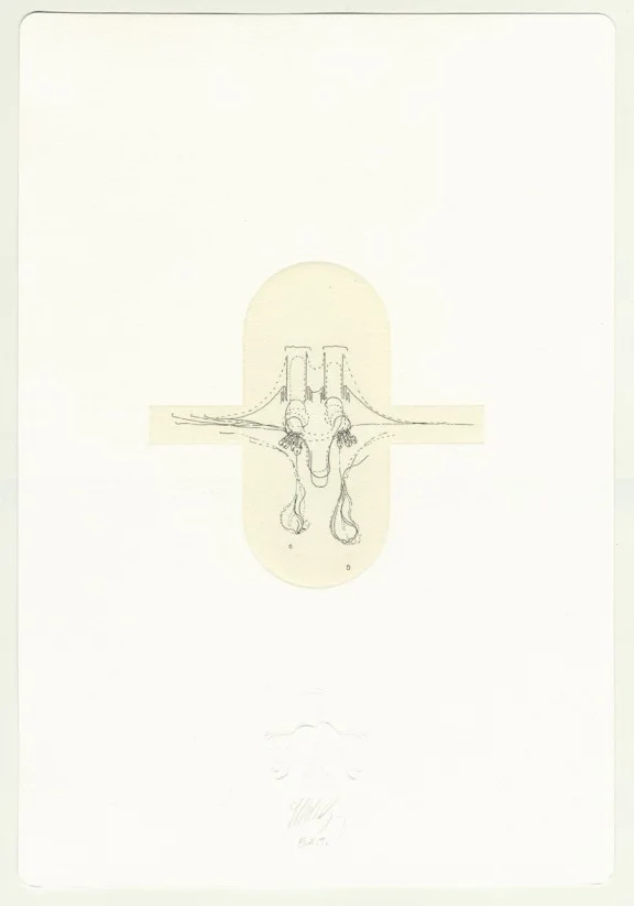 Cremaster: Field Suite, 2000