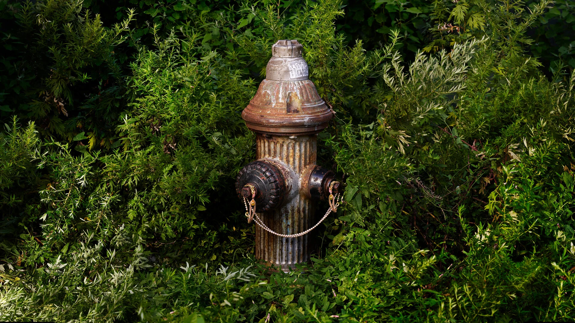 TOP -16-9_Hydrant.jpg