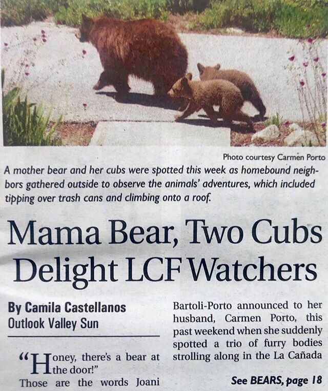 Awwww!🐻🐻🐻The Mama Bear &amp; Baby Cubs that were in my parents&rsquo; front yard made the local paper! My mom was even on @kearth101 this morning talking about it🐻🐻🐻