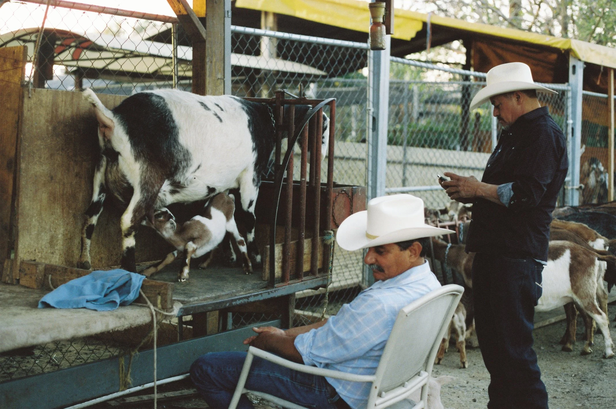 Copy of R1-02965-0004.JPG