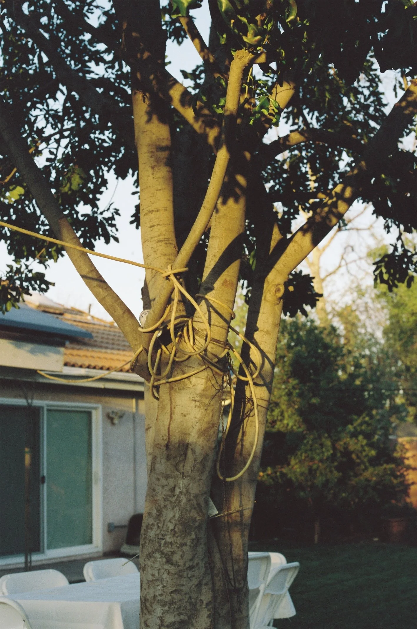 Copy of R1-02965-0011.JPG