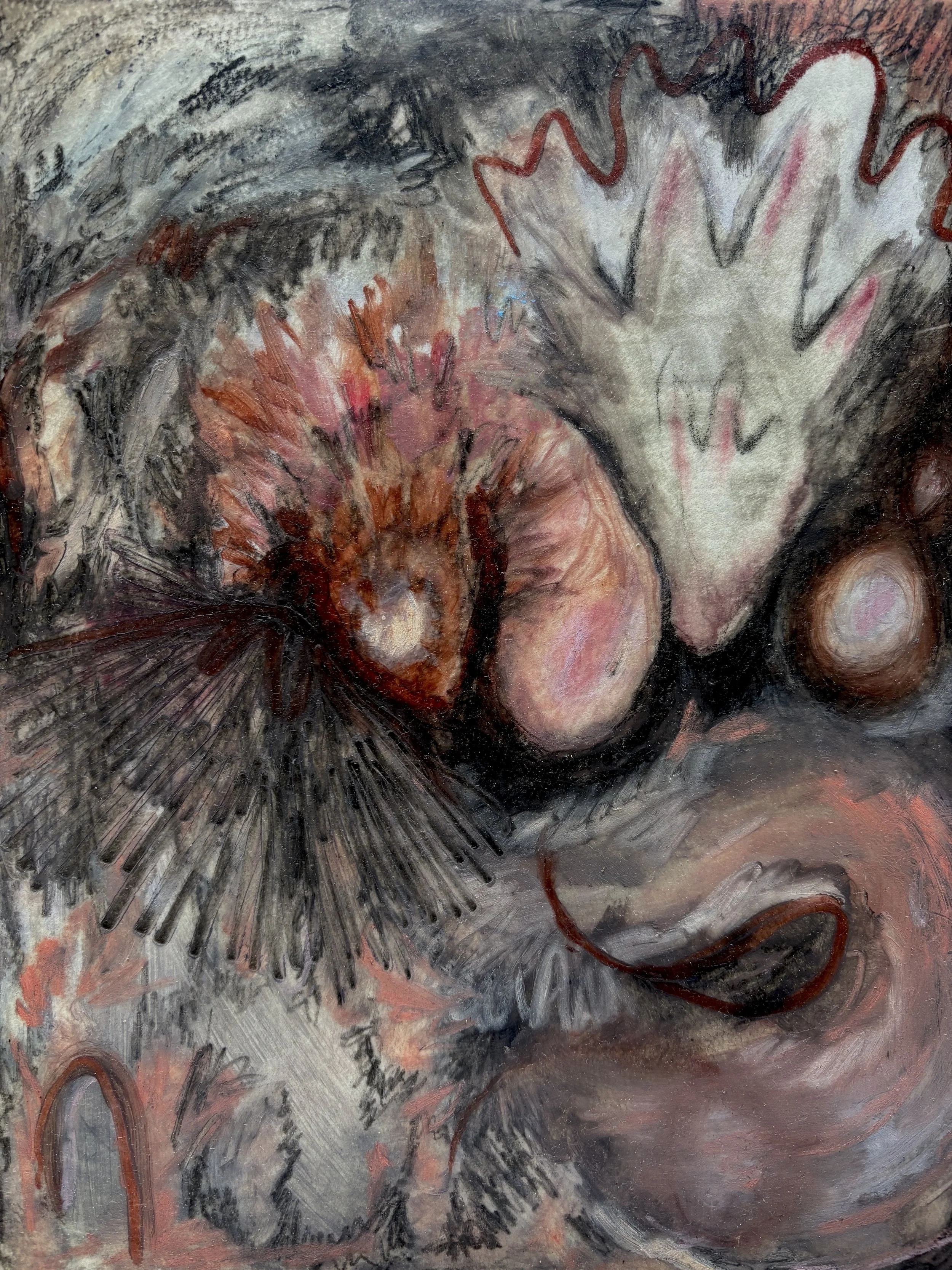 untitled (heart&lung).jpg