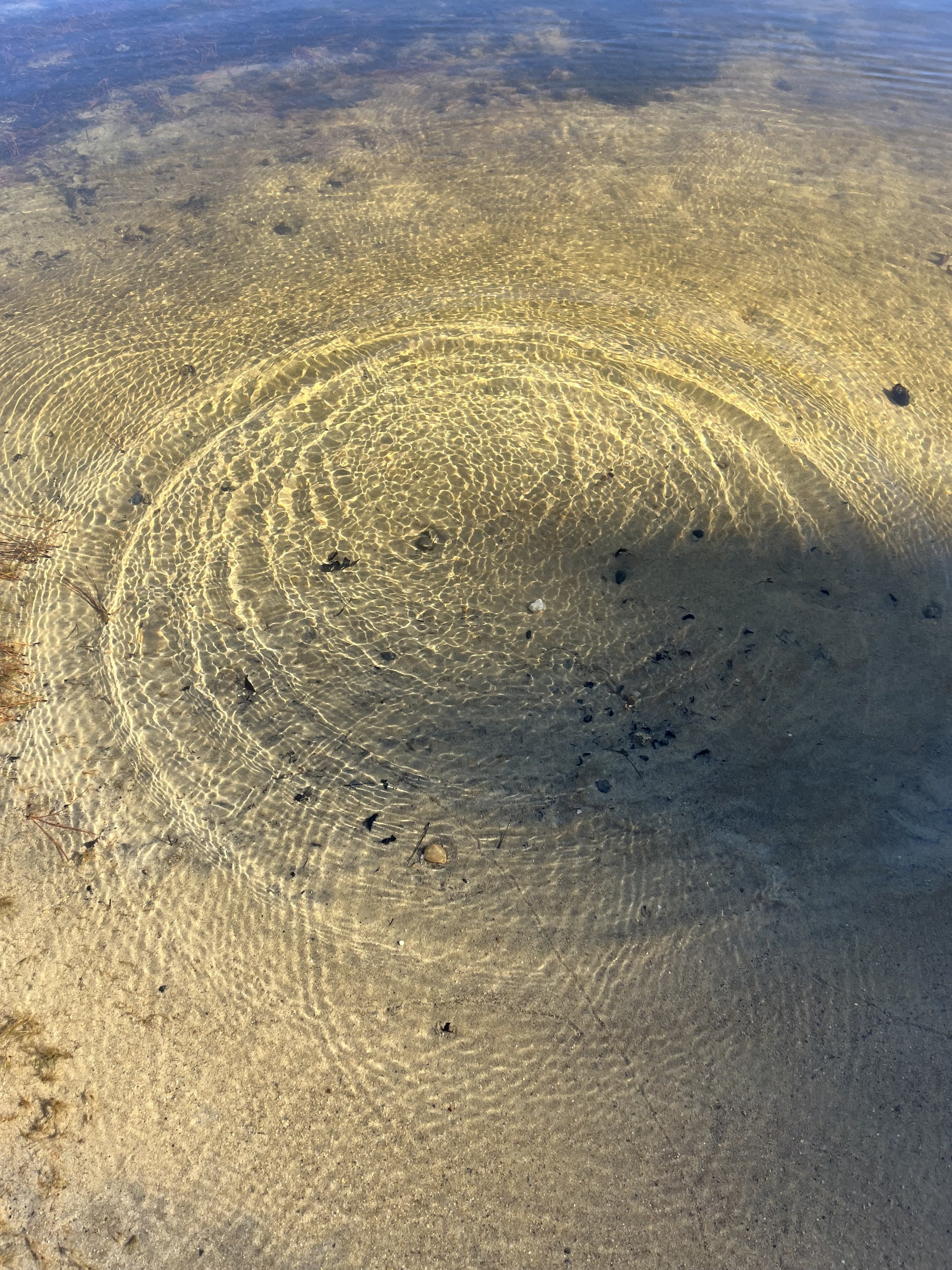 February Workshop—Re-memory/Water 水