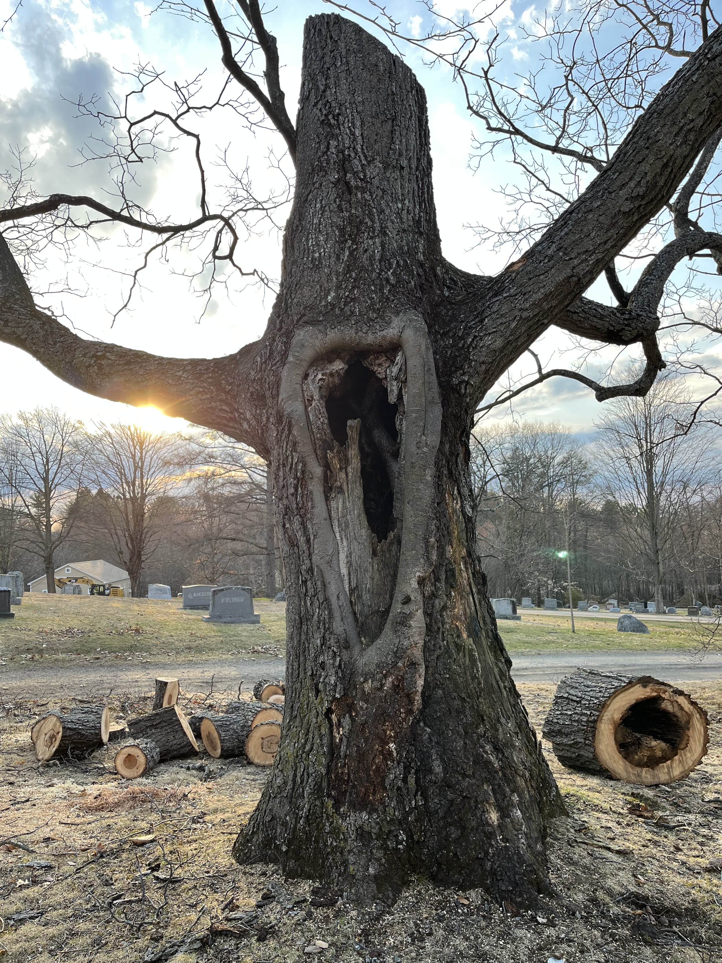 May Workshop—Wood/Dreams 木