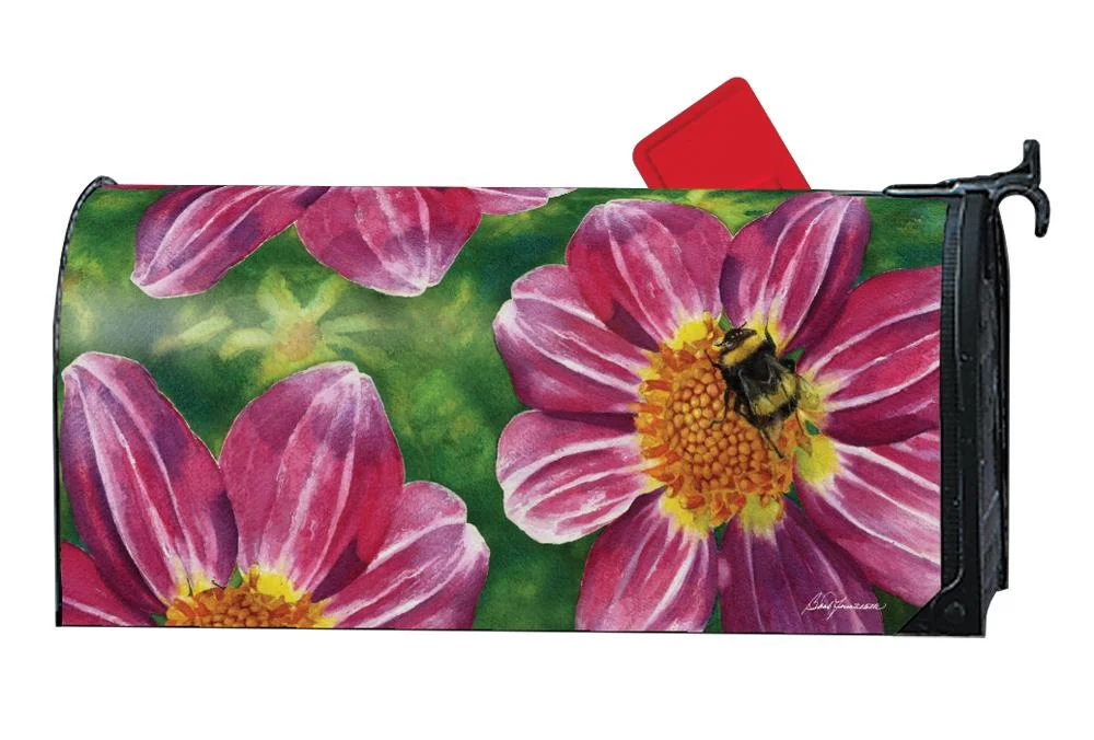 Buzz mail wrap.jpg