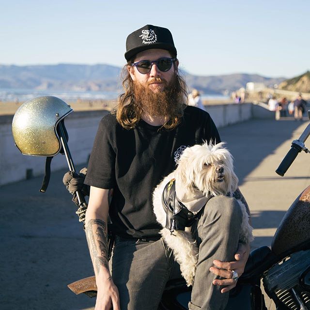 Mikey and his beloved Stevie. Rest in Peace beautiful Stevie <3 