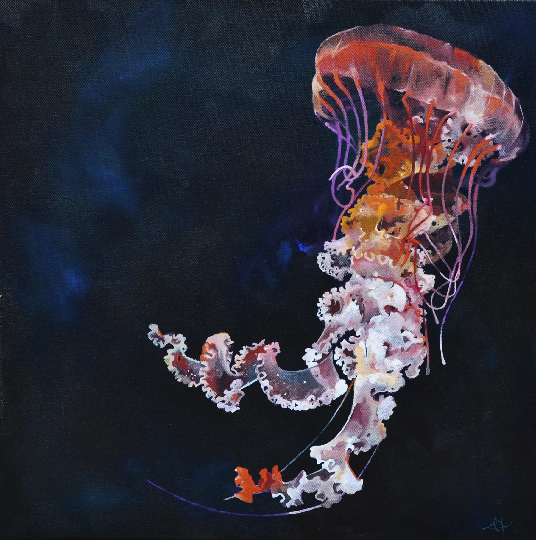 Jelly3. 20x20 oil on canvas. available